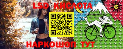 ПСИЛОЦИБИНОВЫЕ ГРИБЫ Нарткала