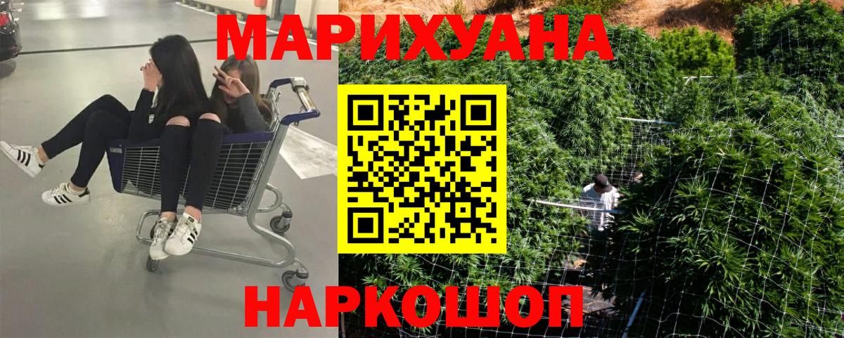 Конопля планчик Пыть-Ях